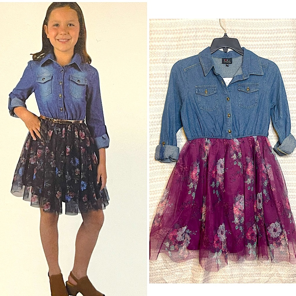 Lilt Denim Dress